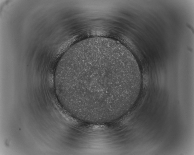 X0000102770401200809081009