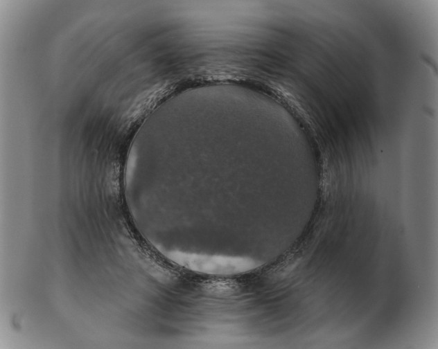 X0000102770402200809081009