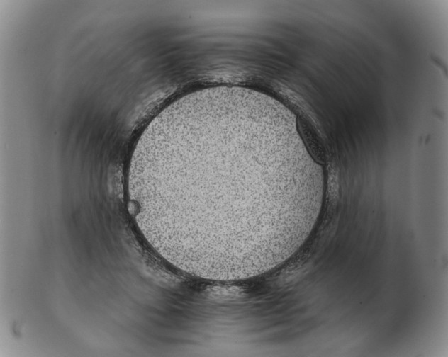 X0000102770403200809081009