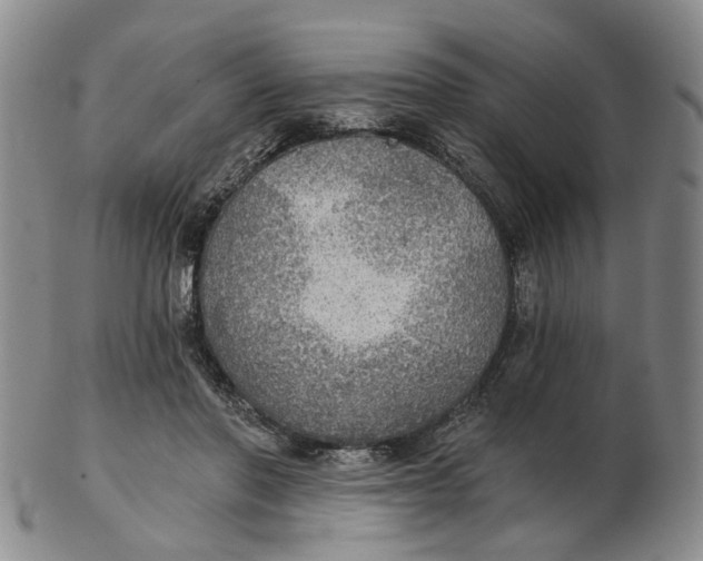 X0000102770406200809081009