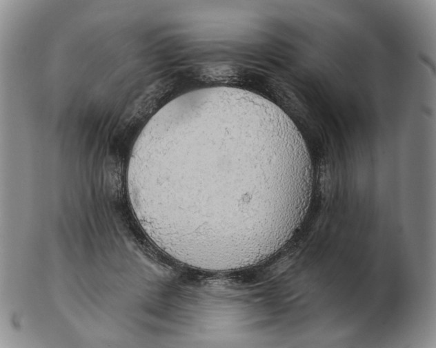 X0000102770408200809081009