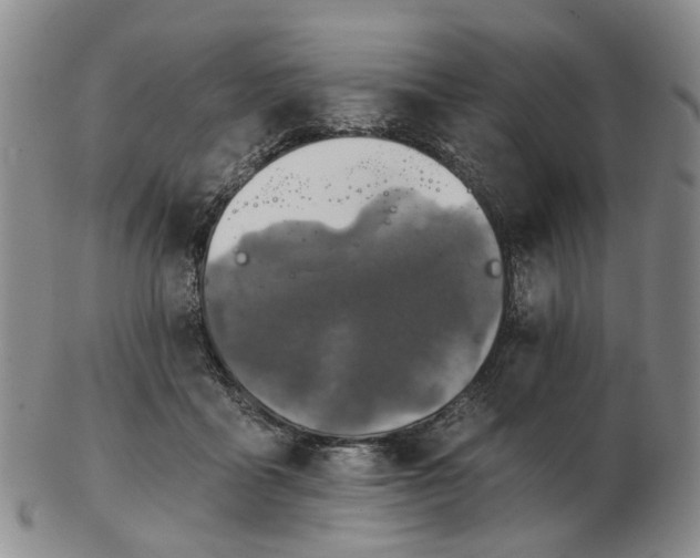 X0000102770411200809081009