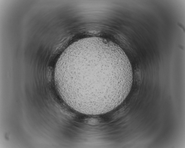 X0000102770412200809081009