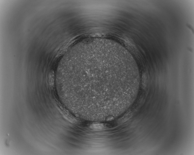 X0000102770413200809081009