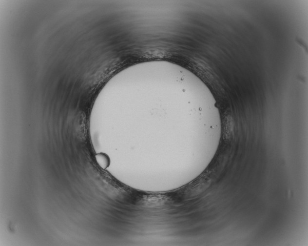 X0000102770414200809081009