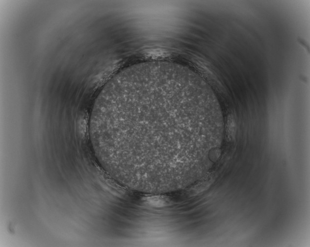 X0000102770417200809081009