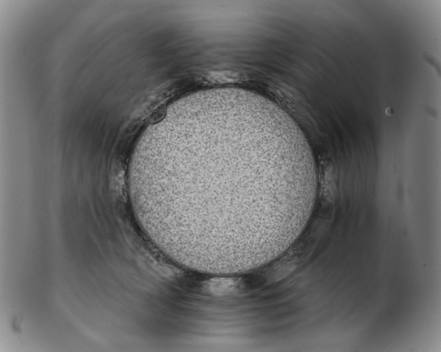 X0000102770418200809081009