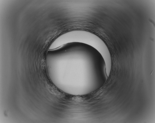 X0000102770419200809081009