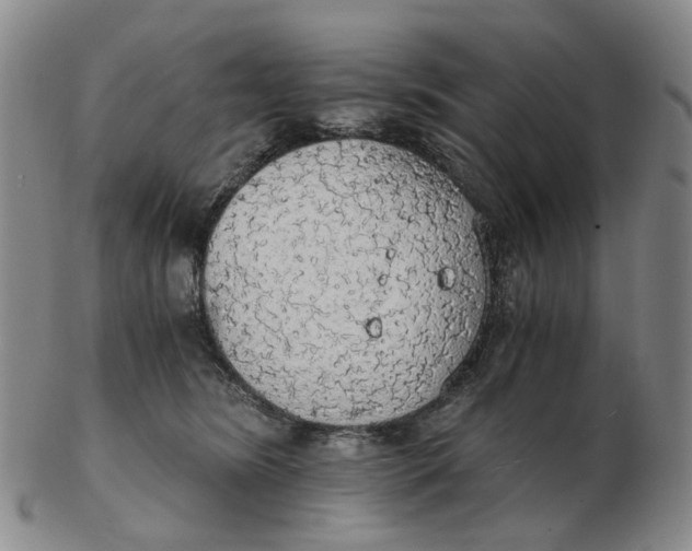 X0000102770420200809081009