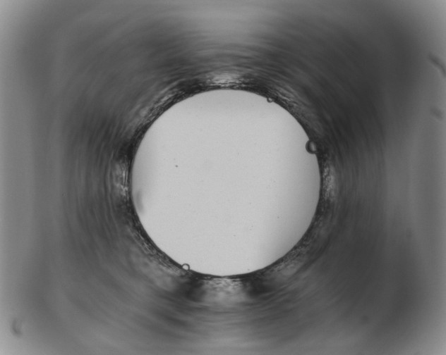 X0000102770421200809081009