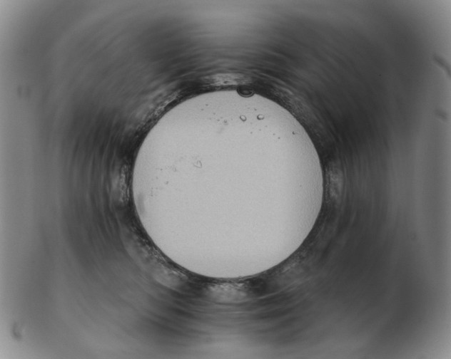 X0000102770422200809081009