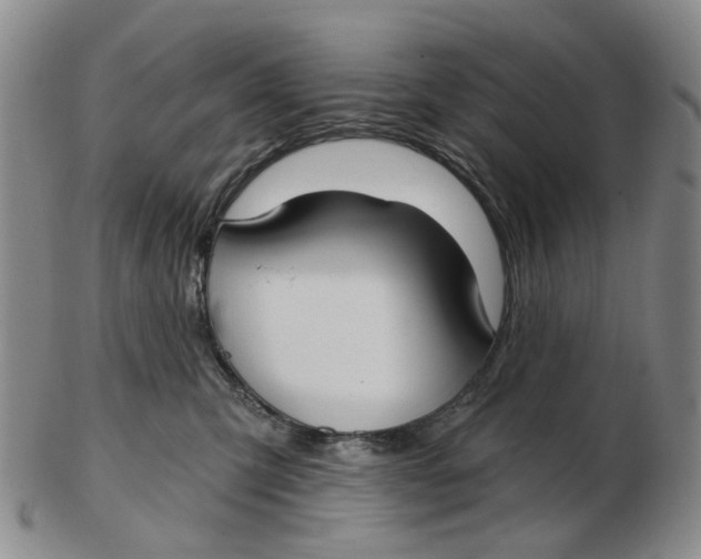 X0000102770423200809081009