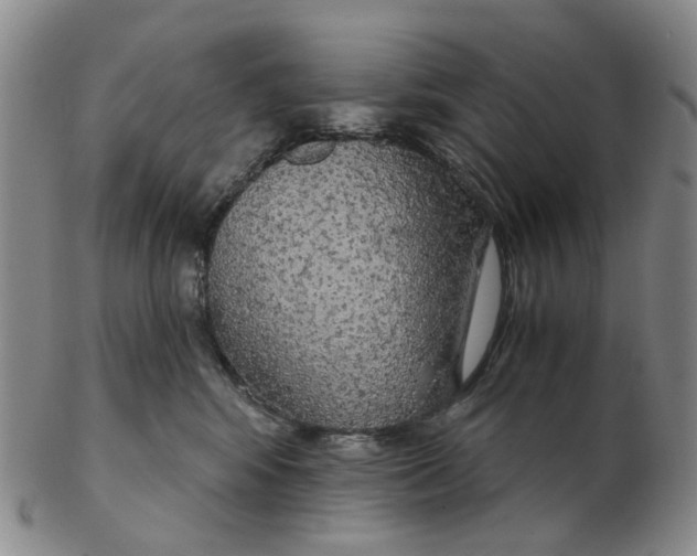 X0000102770424200809081009