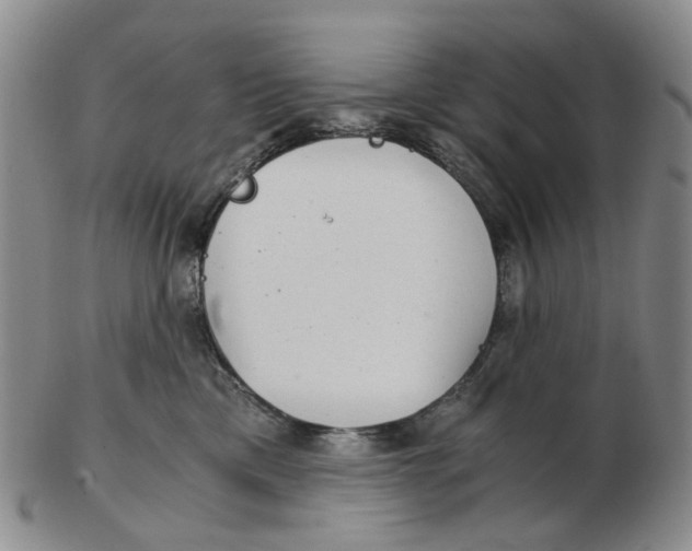 X0000102770425200809081009