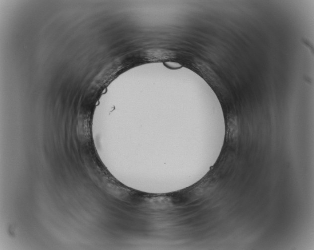 X0000102770426200809081009