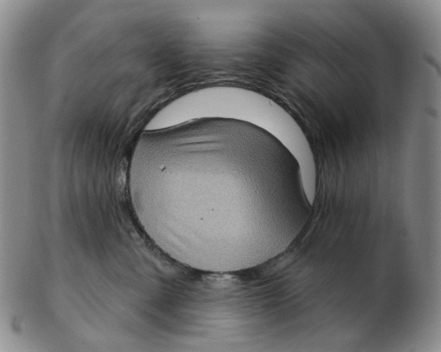 X0000102770427200809081009