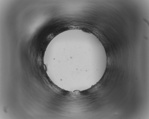 X0000102770429200809081009