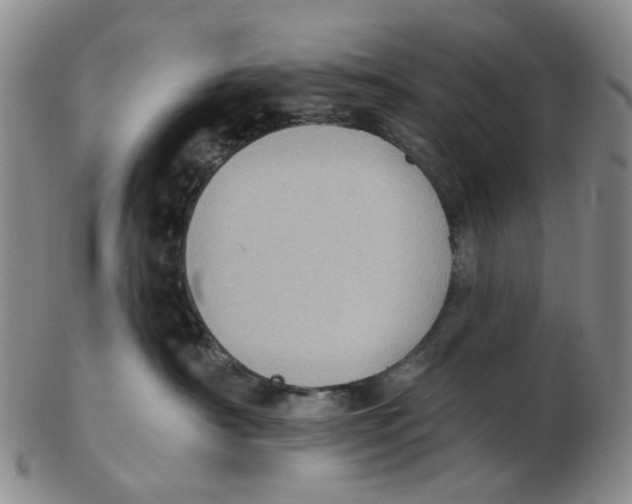 X0000102770430200809081009