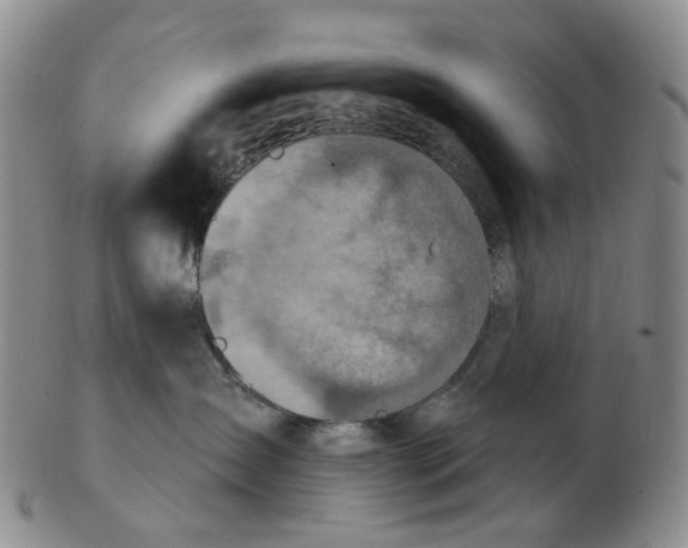 X0000102770431200809081009