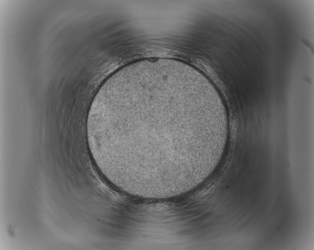 X0000102770433200809081008