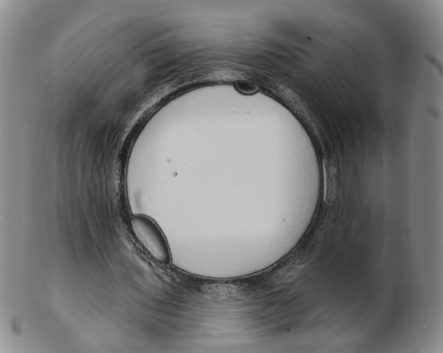 X0000102770435200809081008