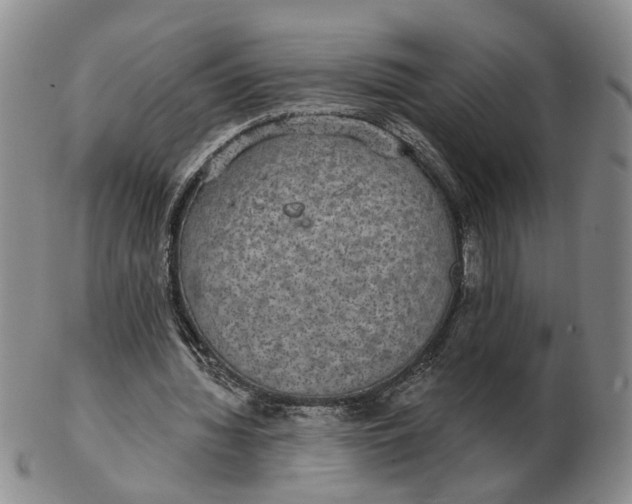 X0000102770436200809081008