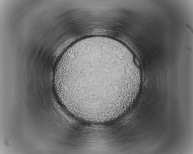 X0000102770437200809081008