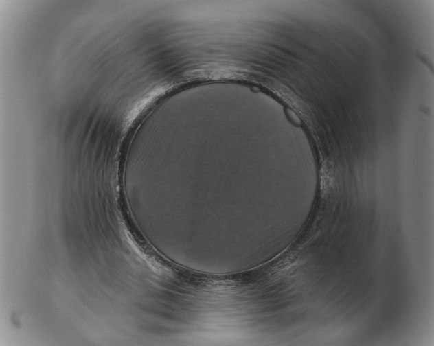 X0000102770438200809081008