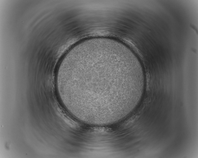 X0000102770439200809081008