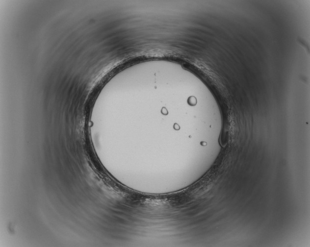 X0000102770440200809081008