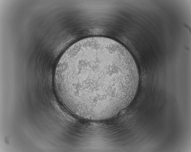 X0000102770442200809081008