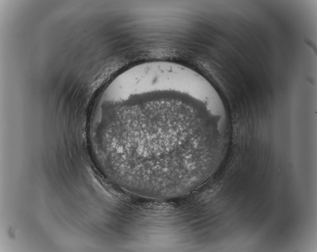 X0000102770443200809081008