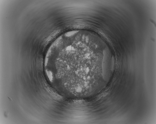 X0000102770446200809081008