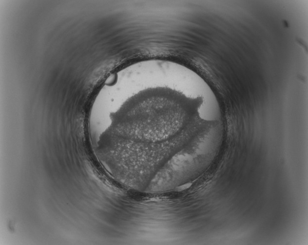 X0000102770447200809081008