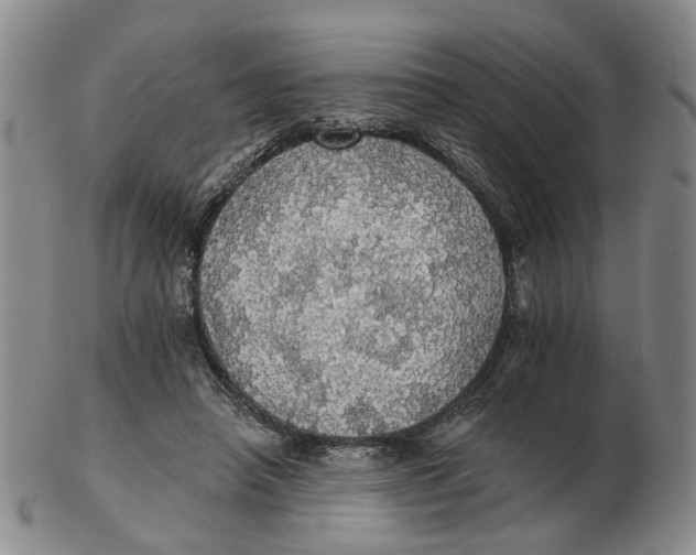 X0000102770450200809081008