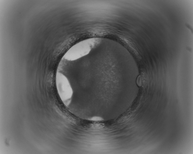 X0000102770451200809081008