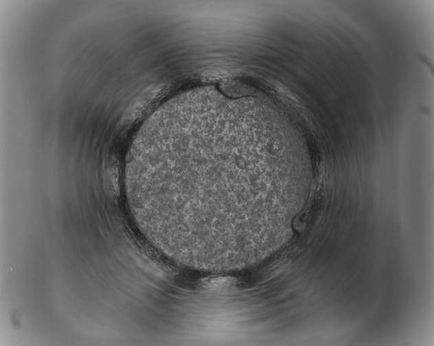 X0000102770452200809081008