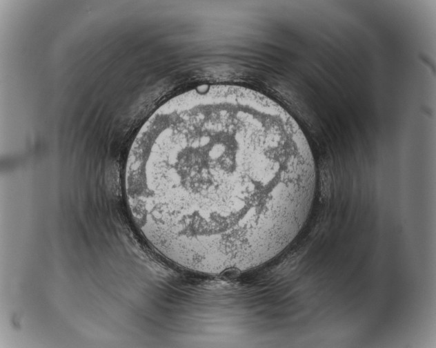 X0000102770453200809081008