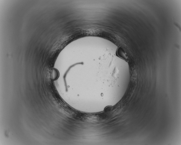 X0000102770456200809081008