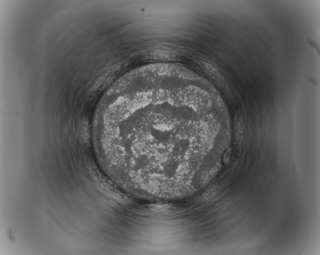 X0000102770457200809081008