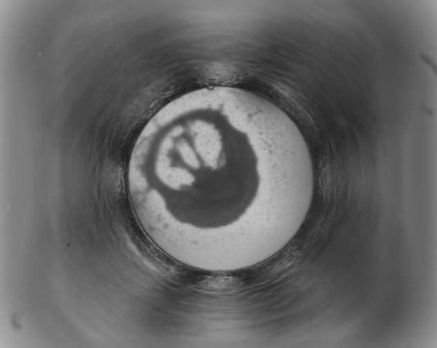 X0000102770459200809081009