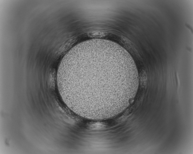 X0000102770460200809081009