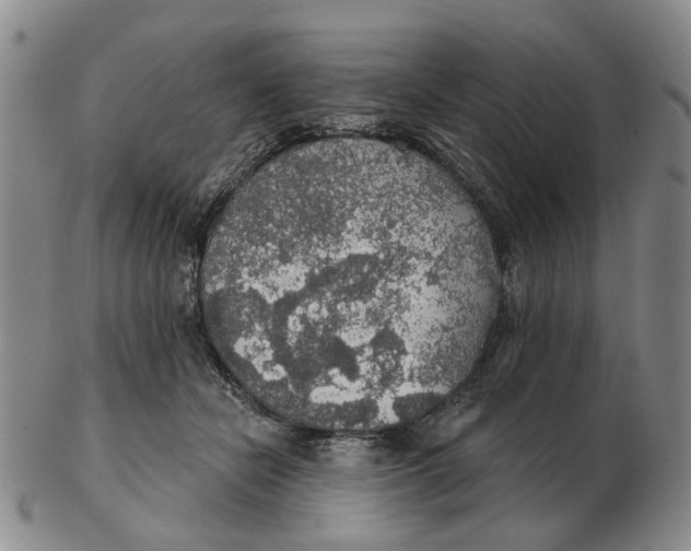 X0000102770462200809081009