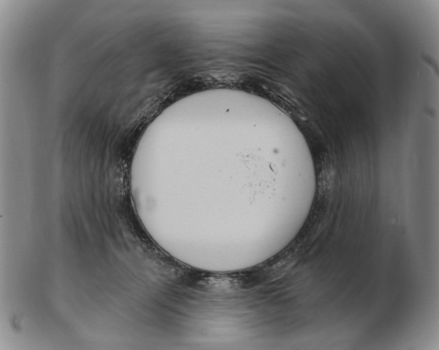 X0000102770464200809081009