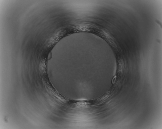 X0000102770465200809081009