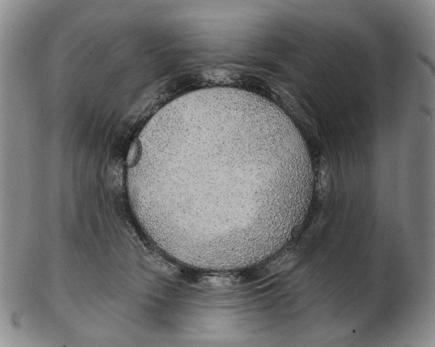 X0000102770466200809081009