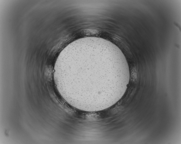 X0000102770468200809081009