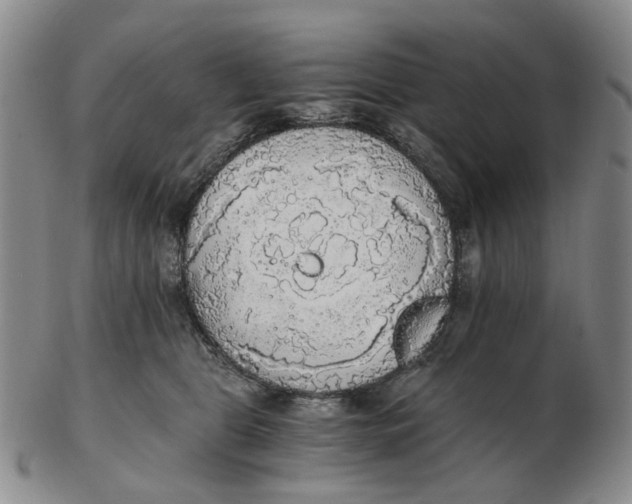 X0000102770469200809081009