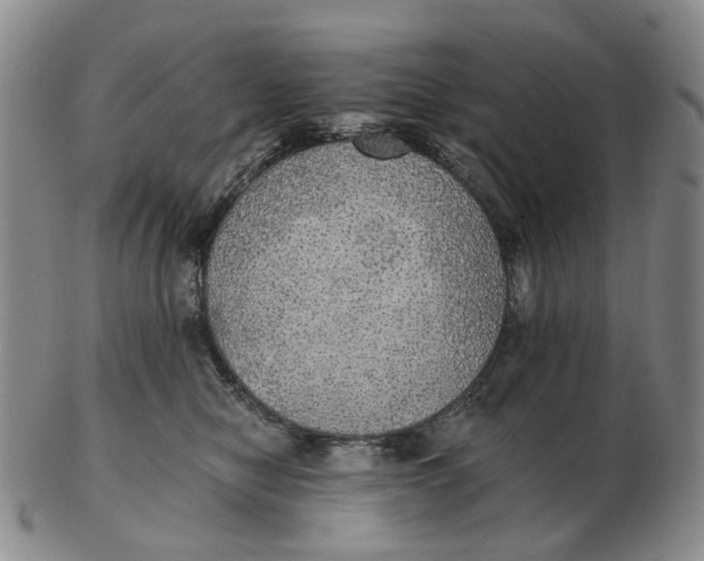 X0000102770470200809081009