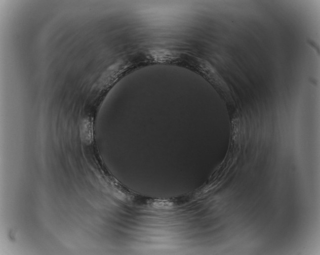 X0000102770471200809081009